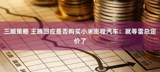 三顺策略 王腾回应是否购买小米澎程汽车：就等雷总定价了